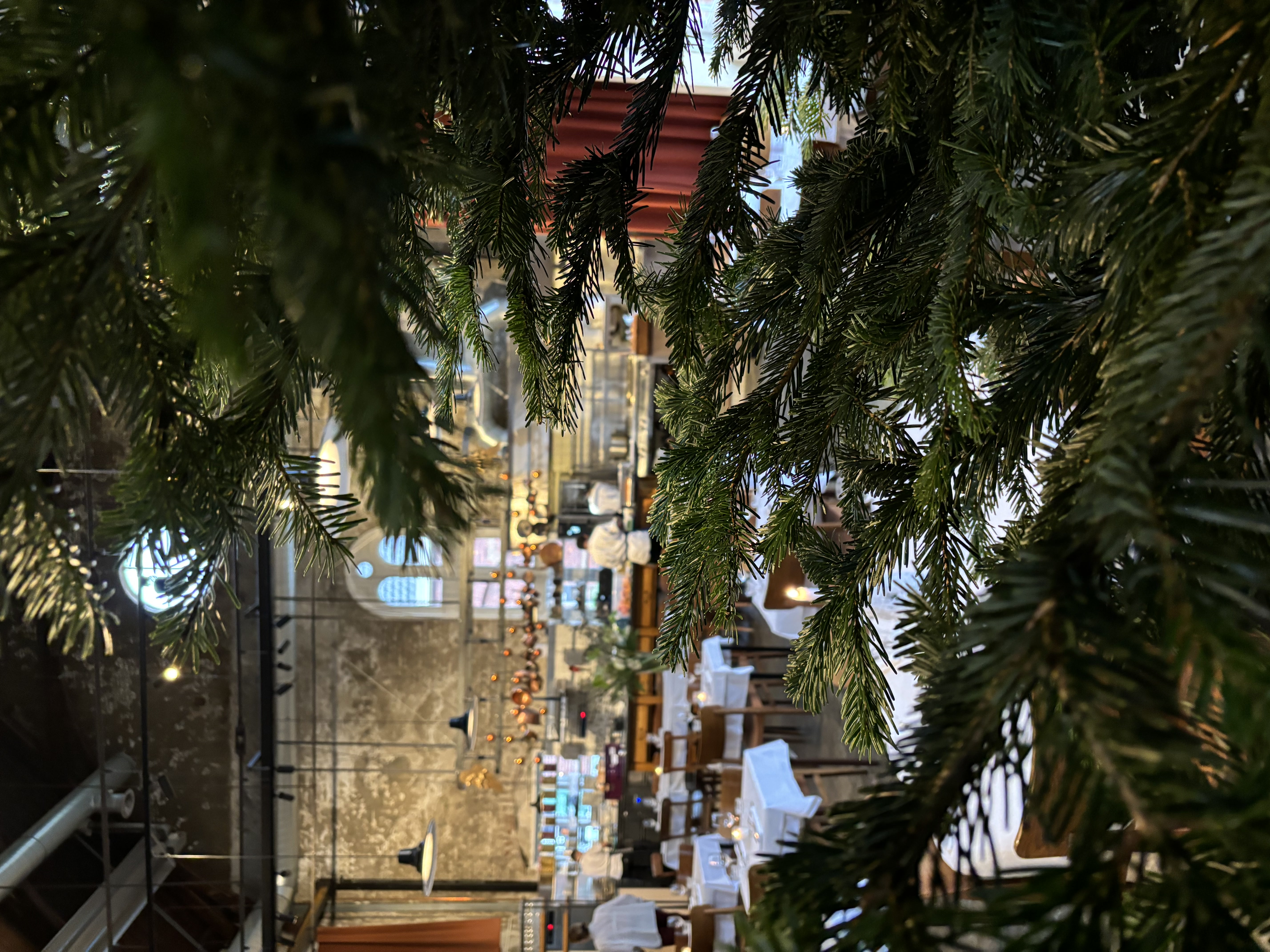 Tjalling's Kerstbomen Amsterdam